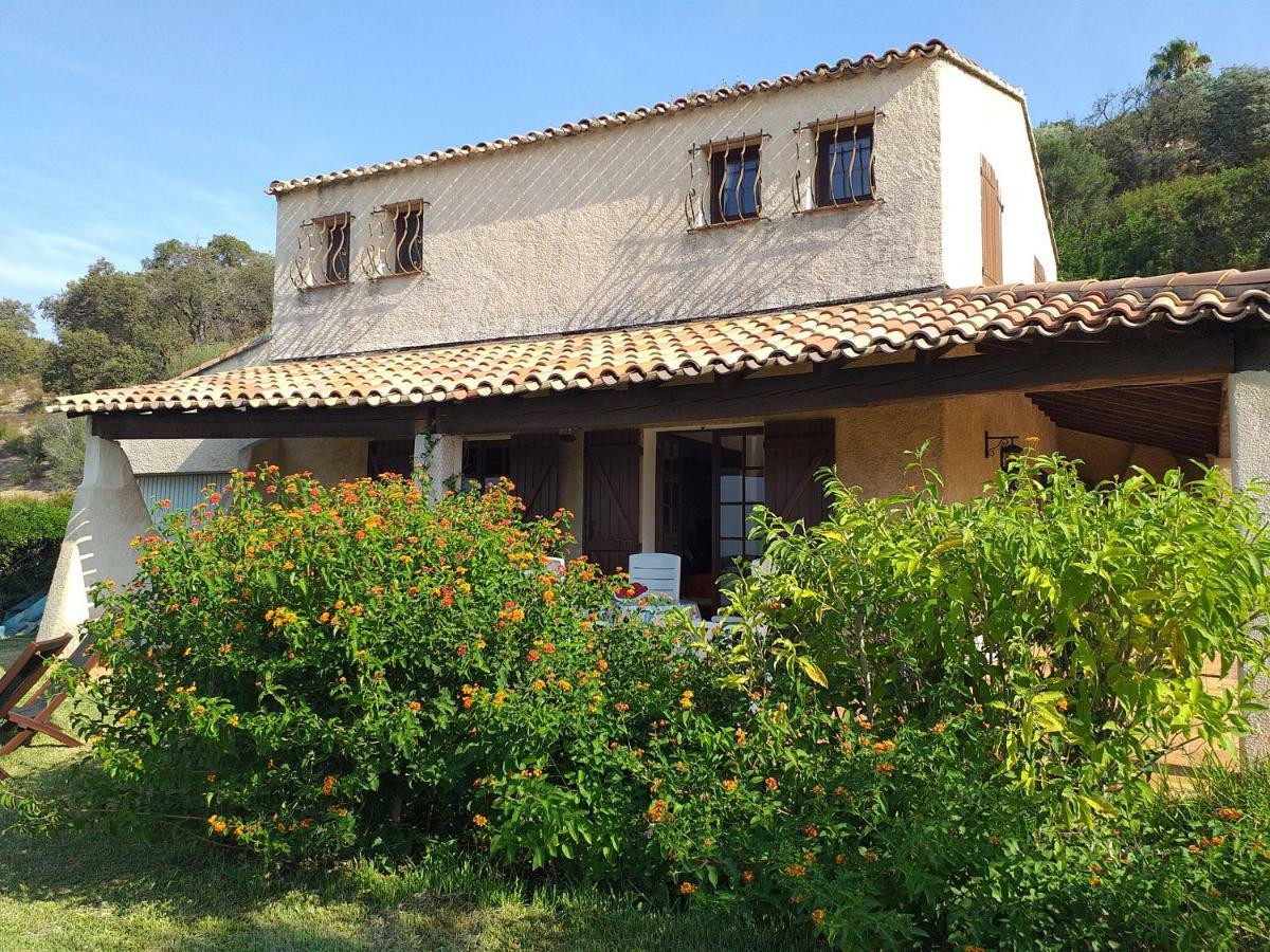 Villa Merveille 博尔马斯·莱斯·米默萨斯 外观 照片